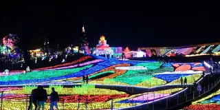 ちょっと都会から離れてクリスマス〈千葉方面〉
