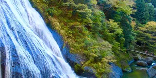 【北茨城・奥久慈・日立エリア】人気の定番観光スポット7選！