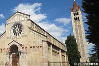 ベローナの写真・動画_image_492660
