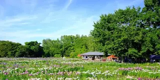 札幌地元民に愛され穴場♡まるごと北海道！