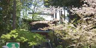 渋さが魅力。いざ、定番だけど外さない鎌倉へ。
