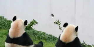 ★★初めての南紀白浜１泊2日旅行★★