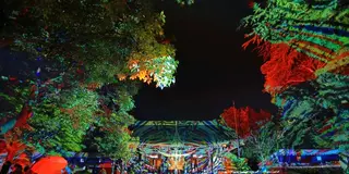 癒しの里菊池♡歴キュンツアー