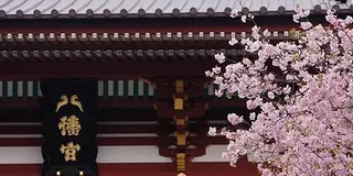 歴史と情緒あふれる春の鎌倉・江ノ島巡り