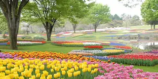 立川・国立・国分寺でぶらぶらのんびり定番デート！