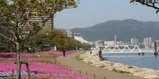 ぶらり…湖都・大津