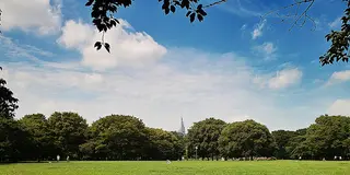 大満足のデートプランを。原宿/青山編