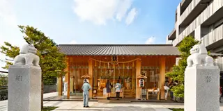 【神楽坂】御朱印めぐり(3寺社✌️️2時間コース)&お一人様グルメ❗️