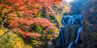 秋の茨城デート♪紅葉、味覚、キャンプ等スポット９選