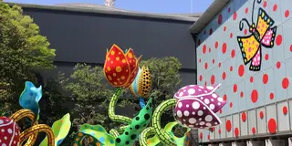 新宿から特急で！草間アートとカフェ・雑貨屋巡りを楽しむ松本旅