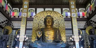 もしかして日本一？越前大仏と五重塔を求めて福井勝山へ