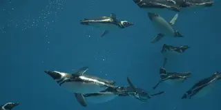 リニューアルオープンした水族館「うみがたり」と周辺観光スポット
