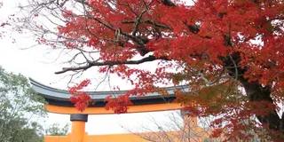 大分県の紅葉スポットめぐり