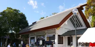まだ間に合う！名古屋の初詣スポット2019