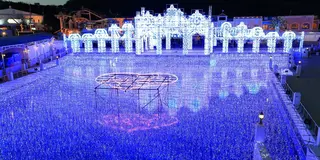 花咲かタイムズ【愛知・蒲郡市】
