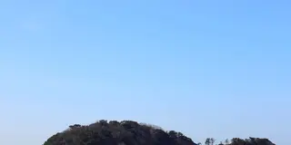 花咲かタイムズ【愛知県・西尾市】