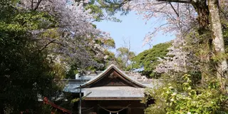 【宮崎恋旅♡】恋の始まりはみそぎから！宮崎・西都エリアで心を清めて恋の神々に近づく旅！