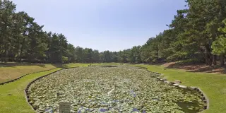 宮崎県は観光資源の宝庫！宮崎県の魅力を発見しよう！