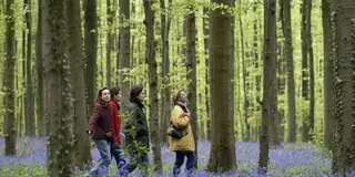ベルギーで季節の花を楽しむプラン
