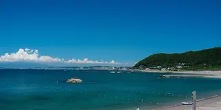 よこすか満喫きっぷで、海と夜景と立ち飲み散歩♪