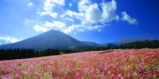 自然あふれる小林をぐるり癒されトリップへ