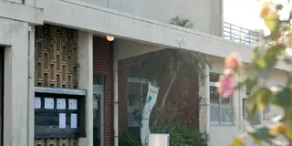 春の千葉　千倉　　　　　花　雑貨　海の幸