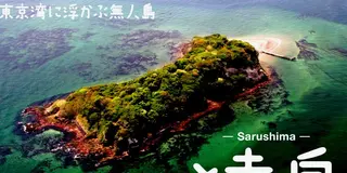 今話題のアプリゲーム＜INGRESS＞で横須賀＆猿島散策ツアー