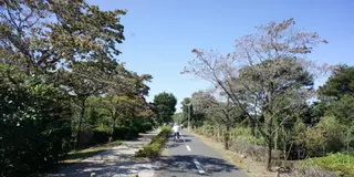 初心者にお勧め！多摩湖サイクリングロードとカフェめぐり