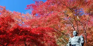 東郷公園と子の権現