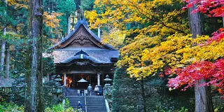 秋の駒ヶ根高原で紅葉を満喫！