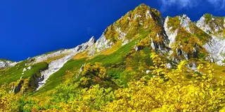 【９月下旬〜10月上旬】中央アルプス千畳敷カールの紅葉　 標高2,612ｍロープウェイで行ける絶景