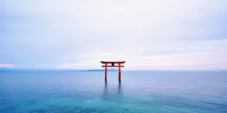 大切な人と行く　高島メモリアルコース