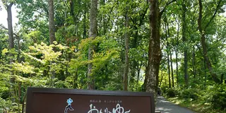 日帰り温泉日記
