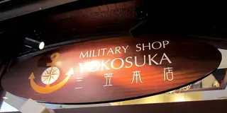 超短時間　ぶらっと横須賀散策　
