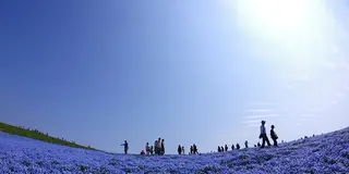 【大洗・ひたちなか】ド定番デートスポット7選♡