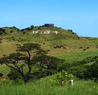 石垣島の写真・動画_image_35802