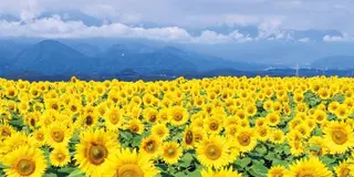 南関東の絶景