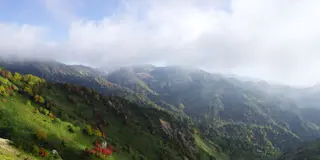 彼女と旅行