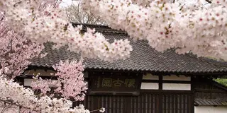 女子旅!!～桜舞う信州へ～