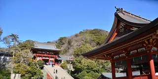 【電車で行ける！】鎌倉・湘南お出かけ決定版