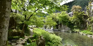 水の町 郡上八幡を愉しむ大人旅