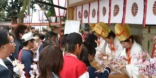 【カップルおすすめ】桜の時期限定「花換えまつり」で愛を誓う