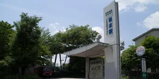【新緑の季節】今日はのんびりお散歩気分、そんな時にオススメの散歩スポットin門前町・坂本