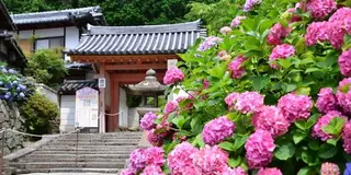 【奈良　矢田寺】御朱印と花と手拭いと