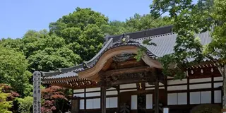 緑溢れる深大寺で大人の癒し散歩。鬼太郎茶屋や深大寺そばなどグルメスポットも！