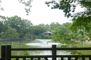 【学芸大学】肩の力を抜いて歩こう