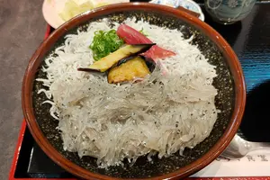 高知県編「バナナマンのせっかくグルメ」で登場したお店