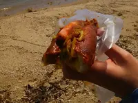 鵜川四十八体石仏群の写真・動画_image_74833