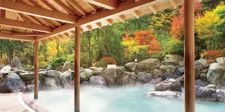 家族で楽しめる北海道巡り