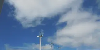 徳島の山のど真ん中！！の大自然の恵みをいただこう♪